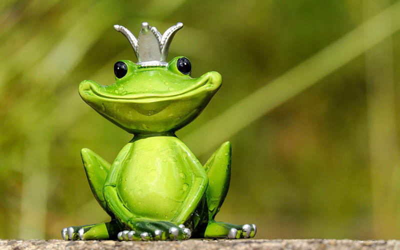 A frog look like a prince