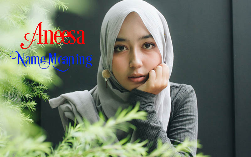 Aneesa Name Meaning