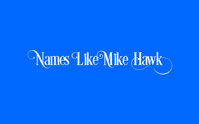 Funny Names Like Mike Hawk