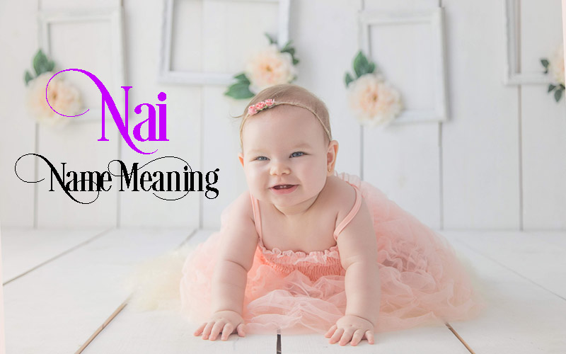 Nai Name Meaning