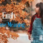 emily name meaning