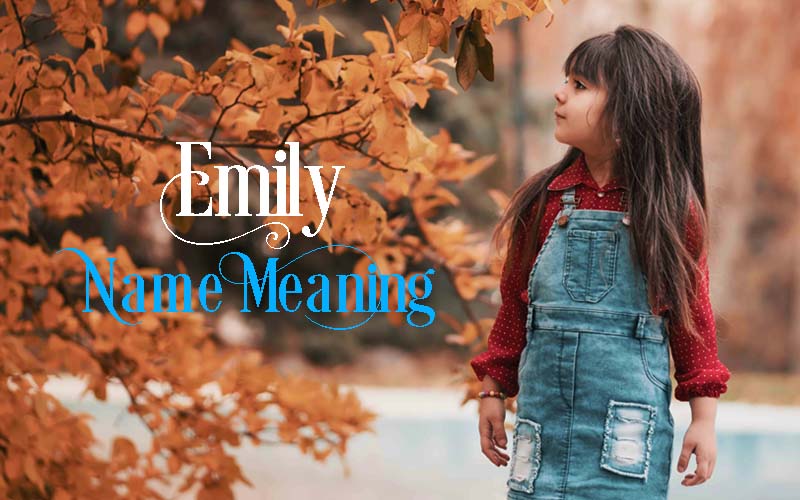 emily name meaning