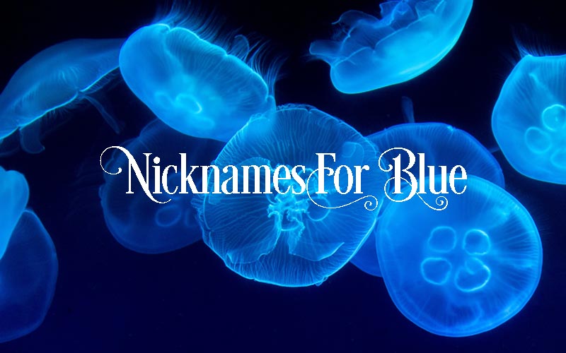 nicknames for blue