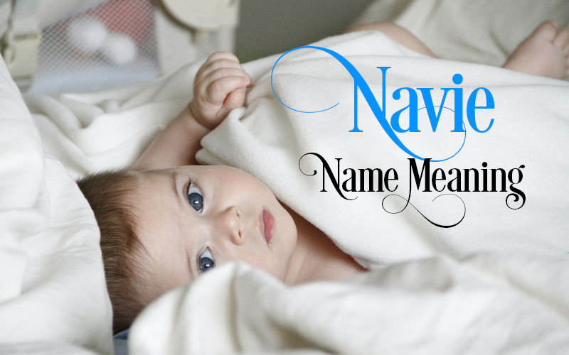 Navie Name Meaning