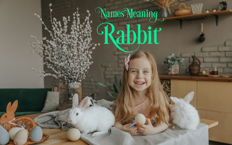 Names Meaning Rabbit
