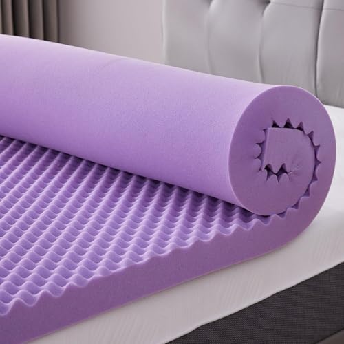 Best Egg Crate Mattress Topper